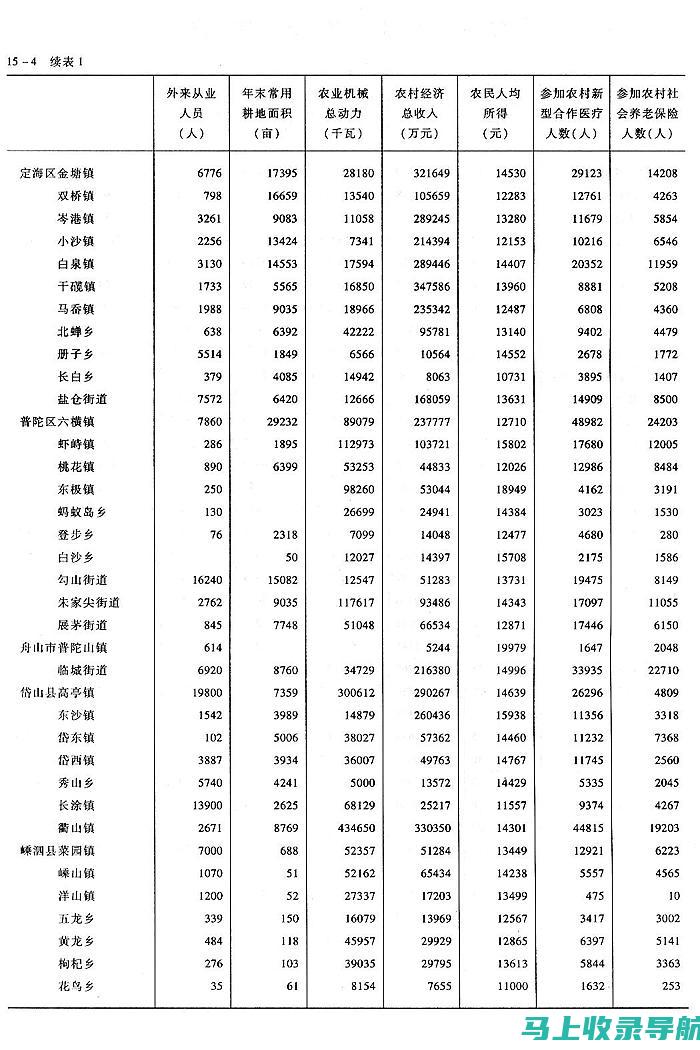 乡镇统计站长在数据治理中的核心职责及其重要性